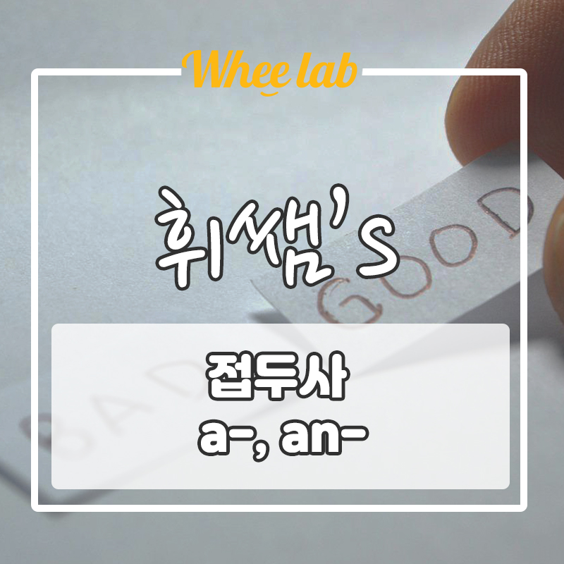 [시험 빈출 영어] 영단어 a-, an- 접두사 의미는? 대표 빈출 어휘는 덤!