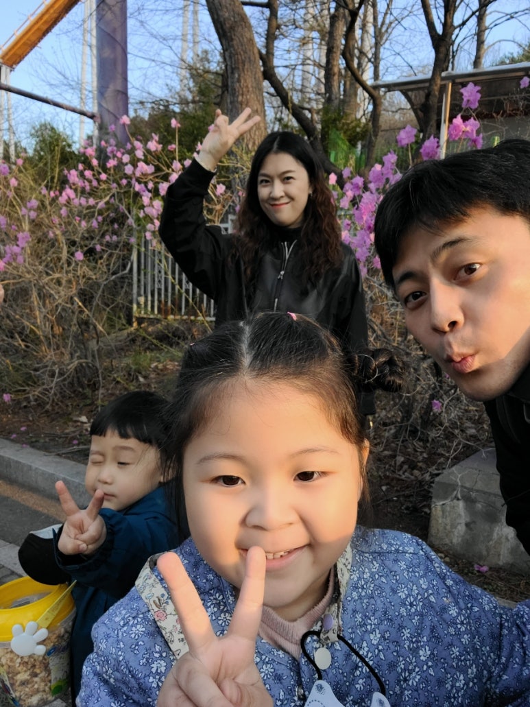 샐랜드 이미지