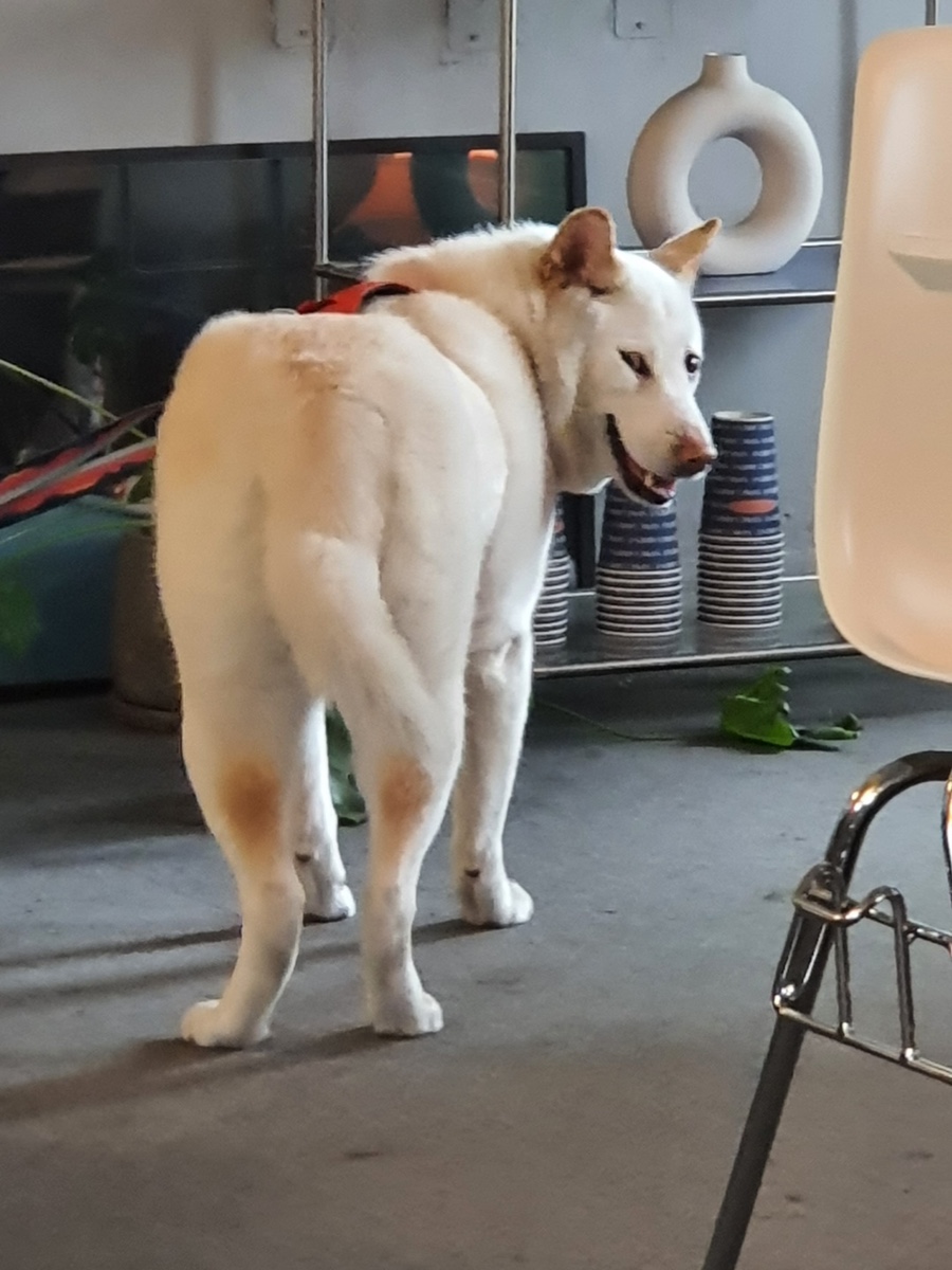 서울숲스테이 이미지