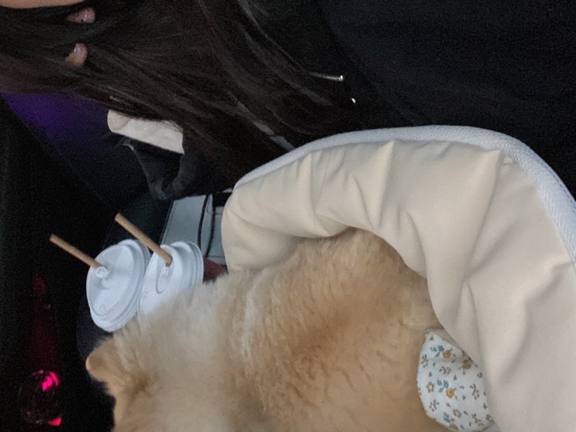 보름수산 이미지