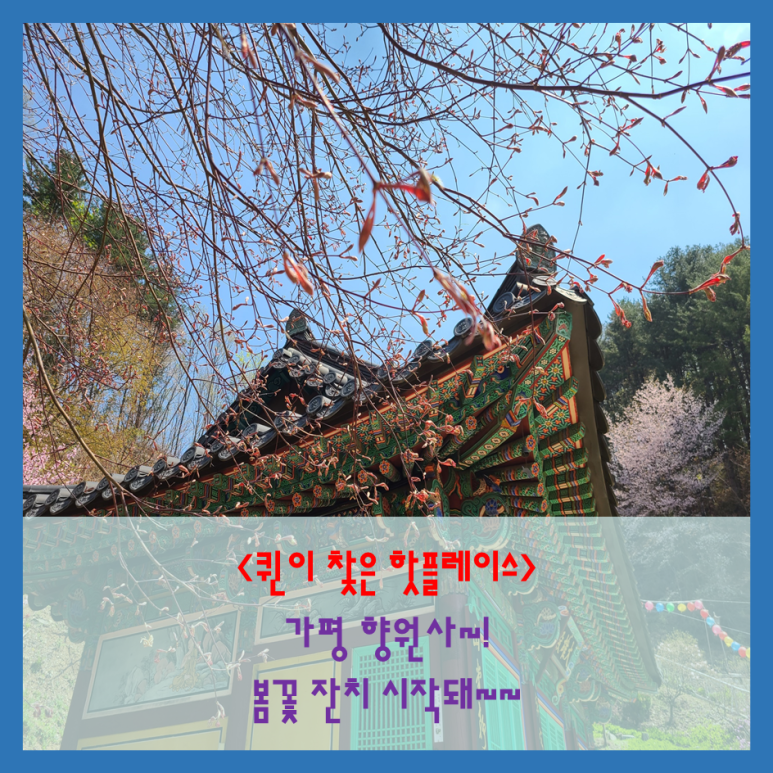향원사 이미지
