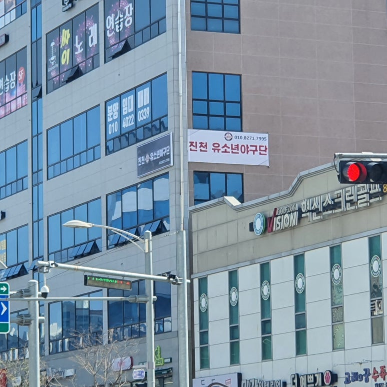 진천유소년야구단 이미지