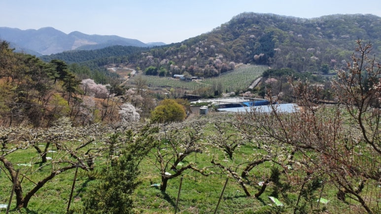 (주)만송 이미지