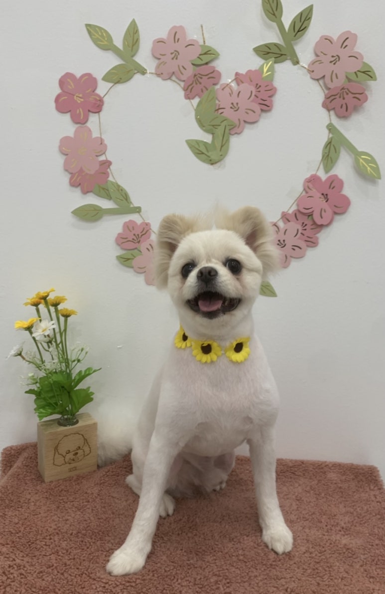 소미미용실 이미지