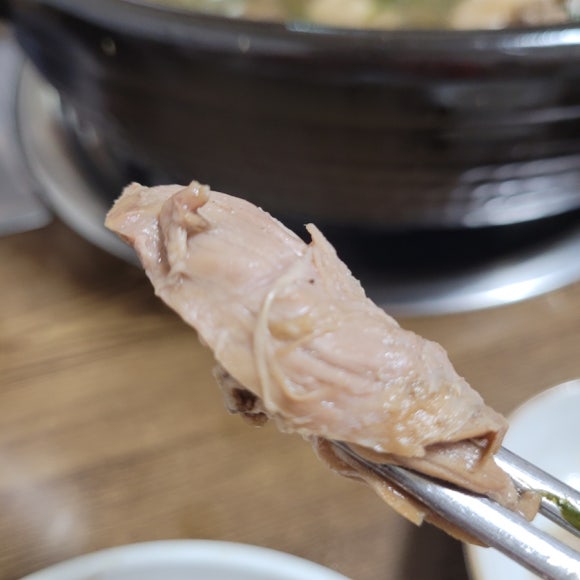 오리와친구들 이미지