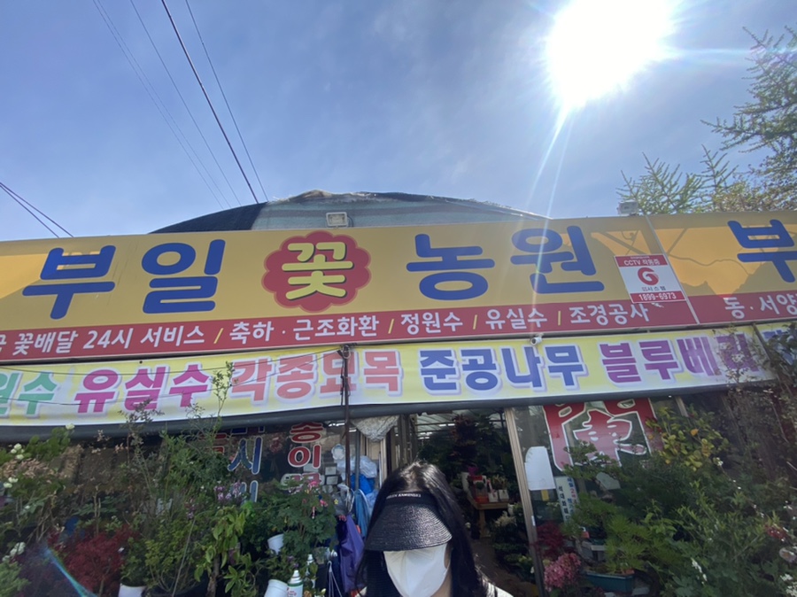 부일농원 이미지