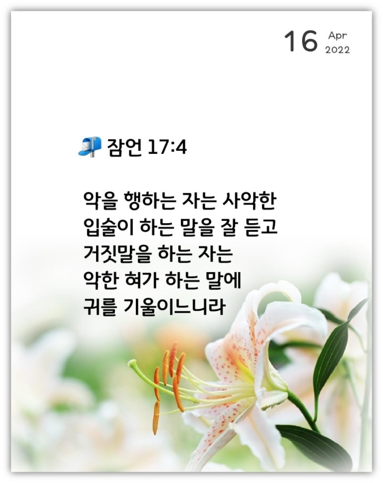 잠언라이프 이미지
