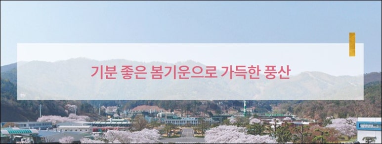 풍산 주식회사 이미지