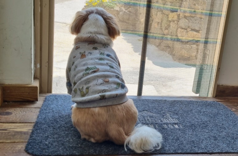 두모담 이미지