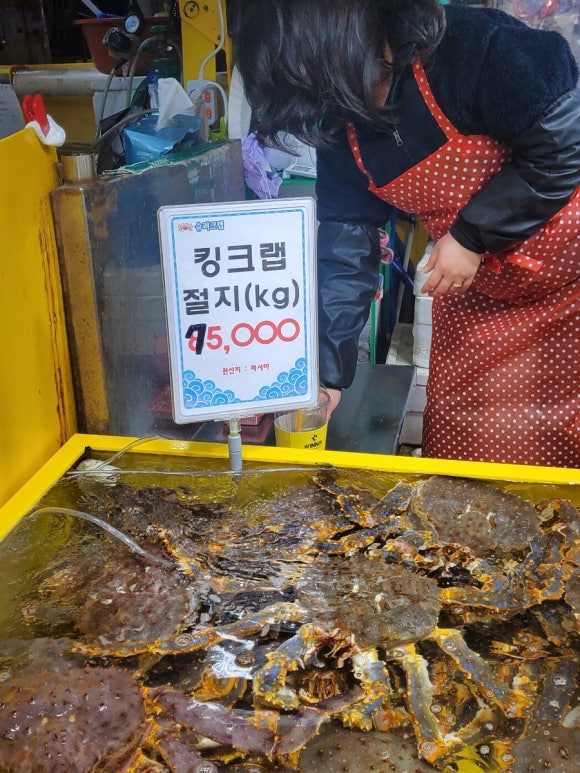 부두슈퍼 이미지