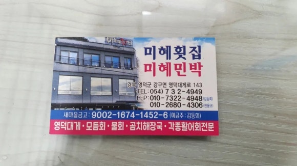강구물회 이미지