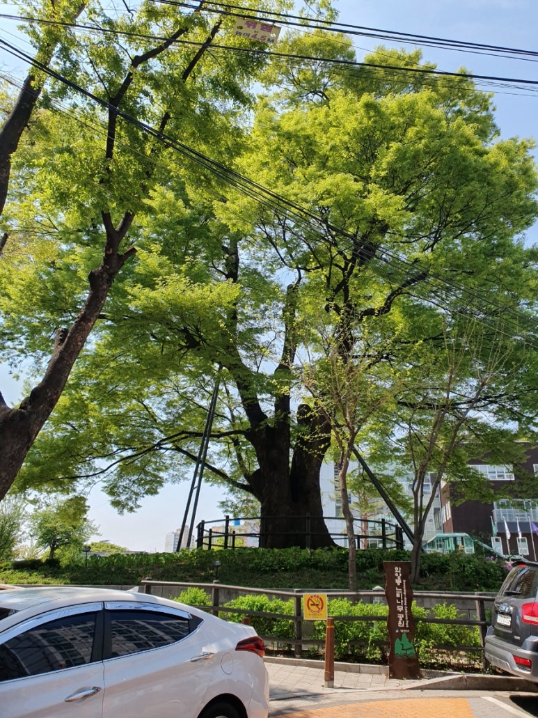 파리바게뜨화양시장점 이미지