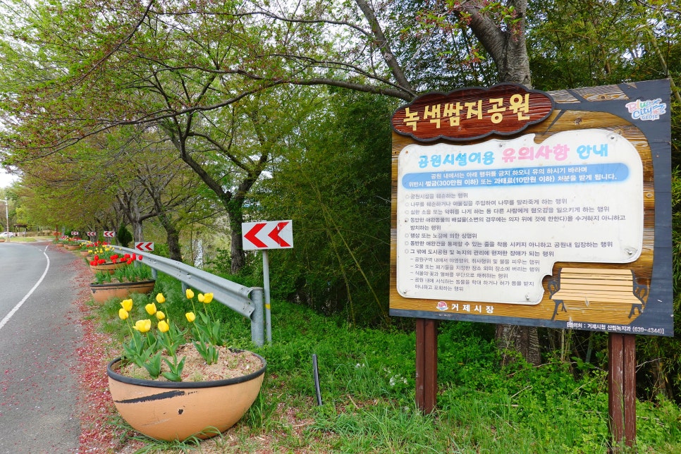 쌈지거제 이미지