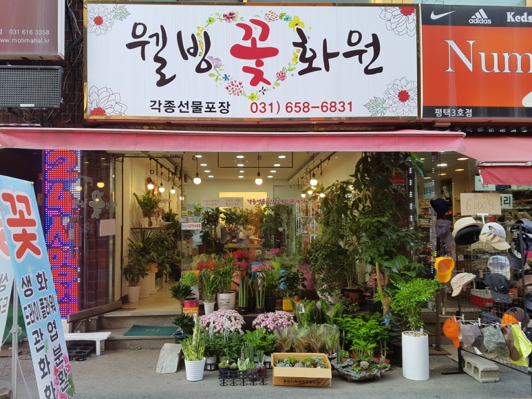 웰빙꽃화원 이미지
