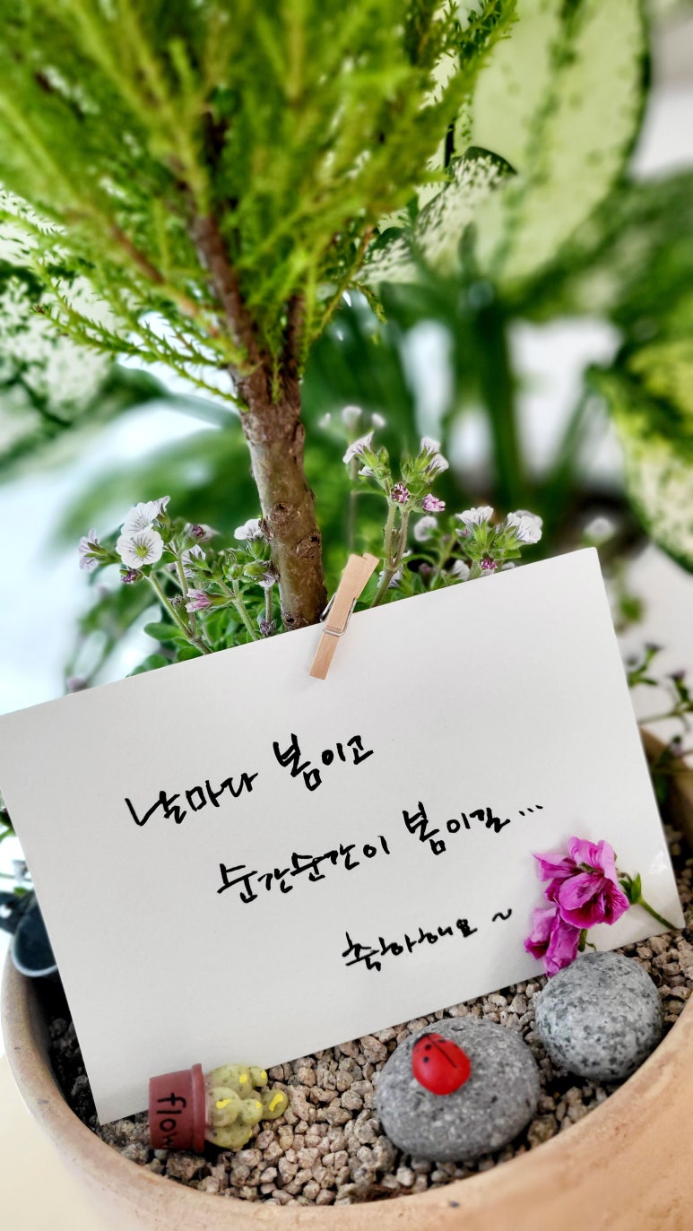 날마다 봄 이미지