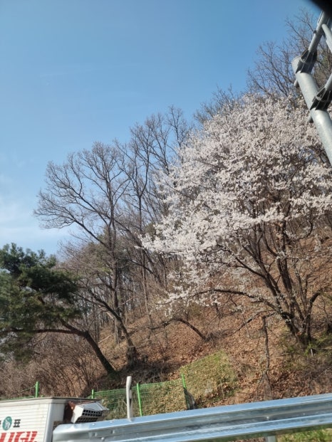 덕평공룡수목원 이미지