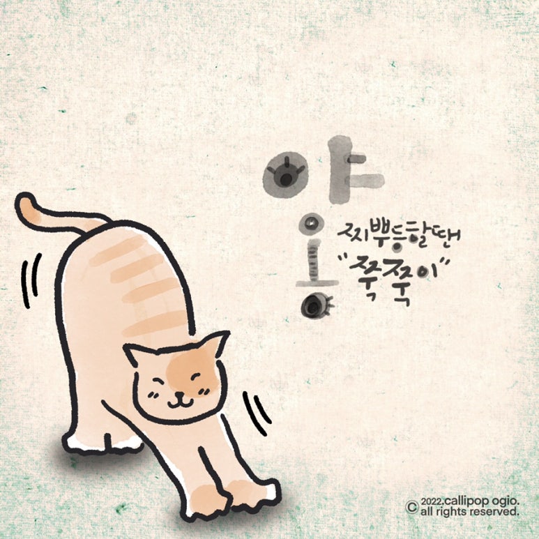붓따라/캘리팝오기오 이미지
