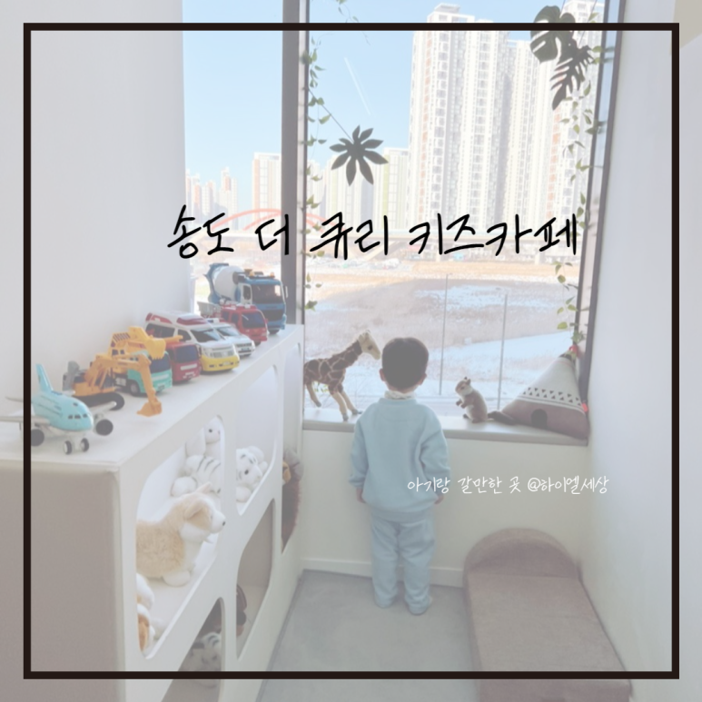 더큐리키즈카페 이미지