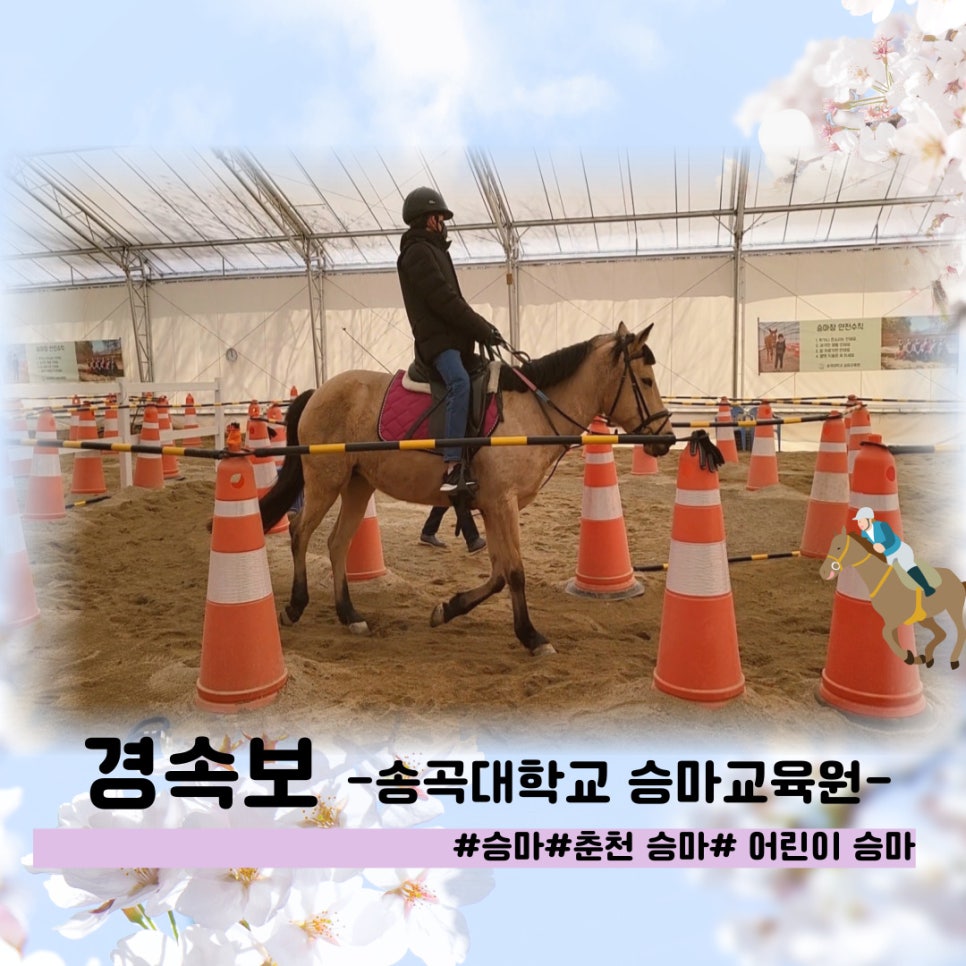 송곡승마교육원 이미지