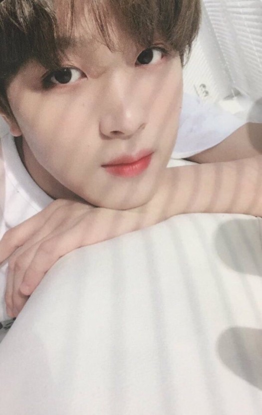 레이지선데이 이미지