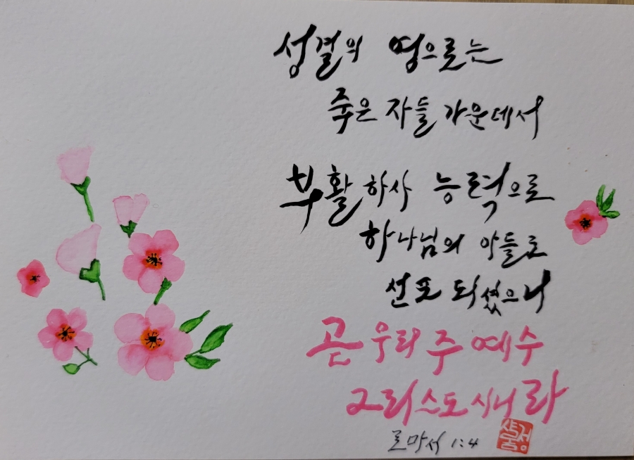 믿고사는사람들 이미지