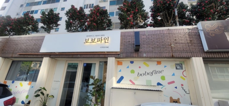 보보파인 이미지