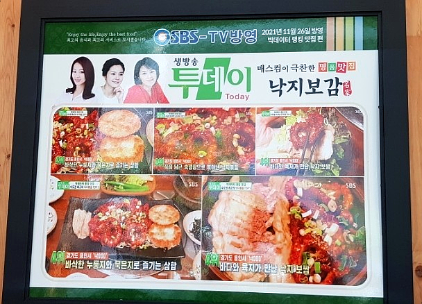 낙지보감 이미지