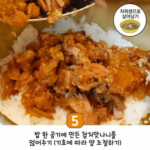 참치스타그램 이미지
