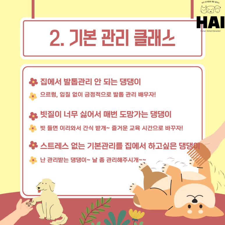 차이나클래스 이미지