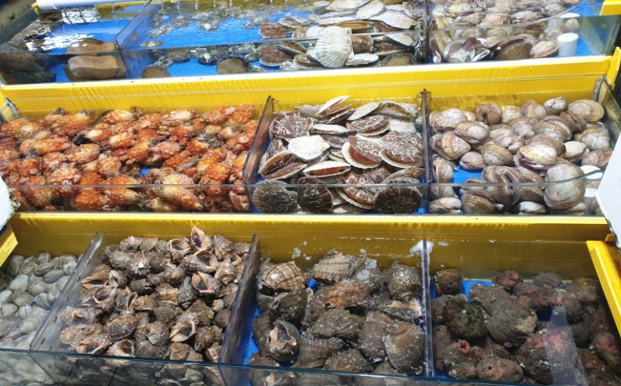 철이네수산 이미지