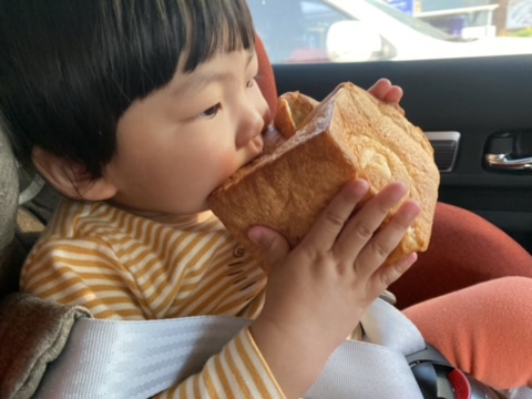 베베하모니 이미지
