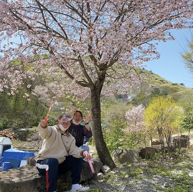 예원캠핑장 이미지