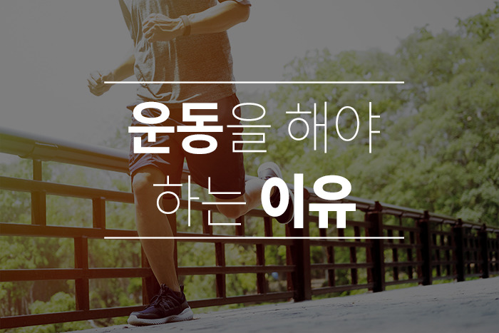짐이유 이미지