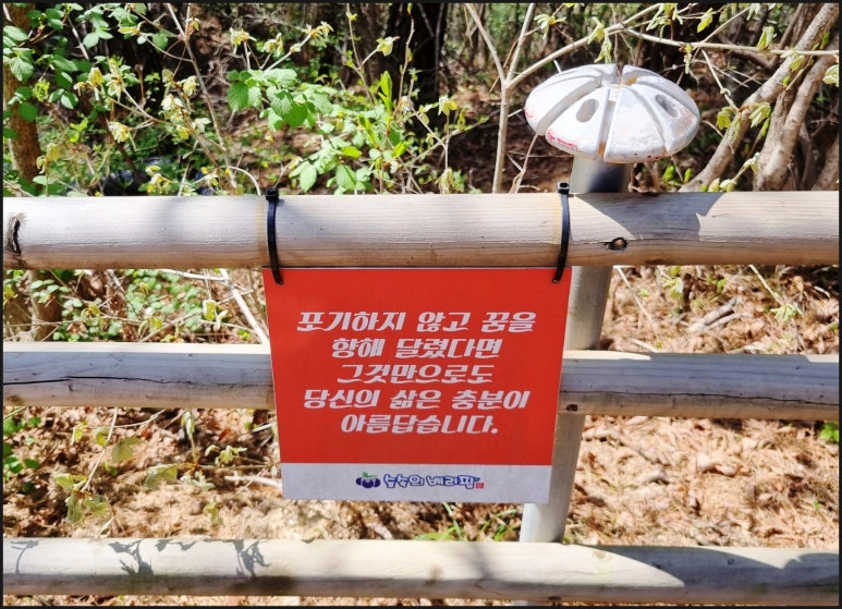 함께베리팜 이미지