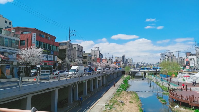 올리브한의원 이미지
