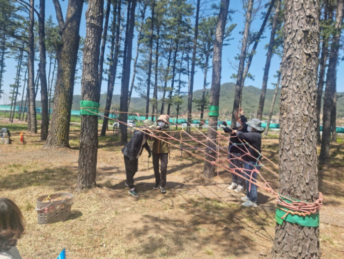 백두대간 유아숲체험원 이미지