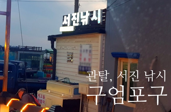 서진낚시 이미지