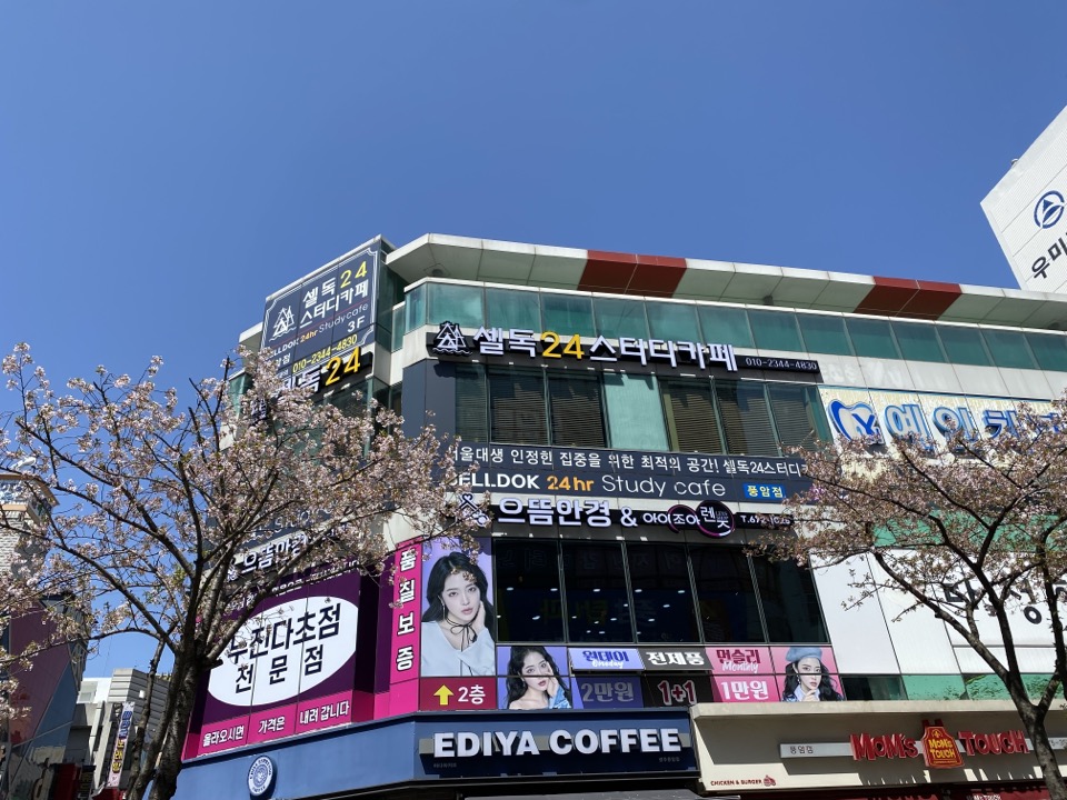 셀독풍암점 이미지