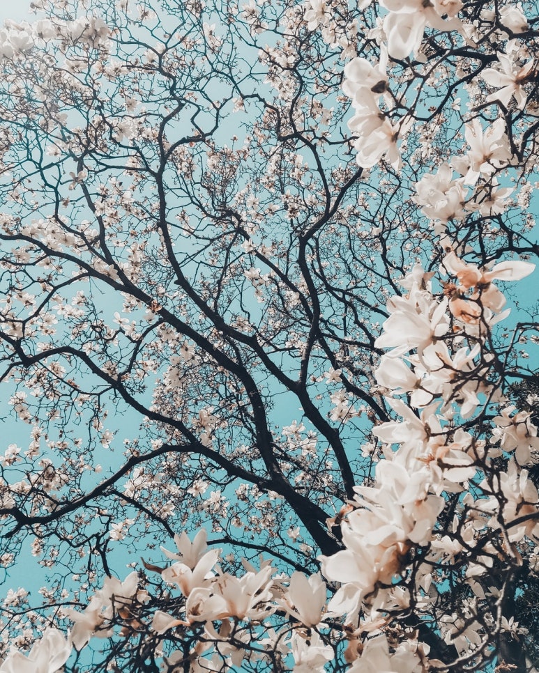 평택복사프린트 이미지
