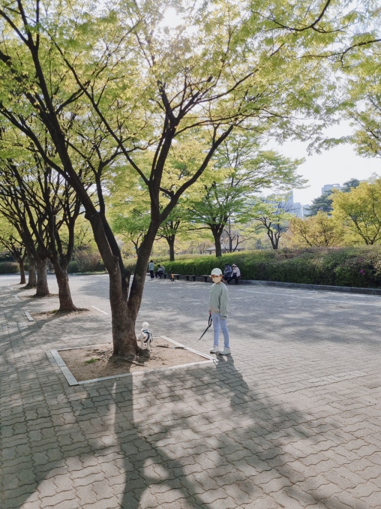 청년다방일산 이미지