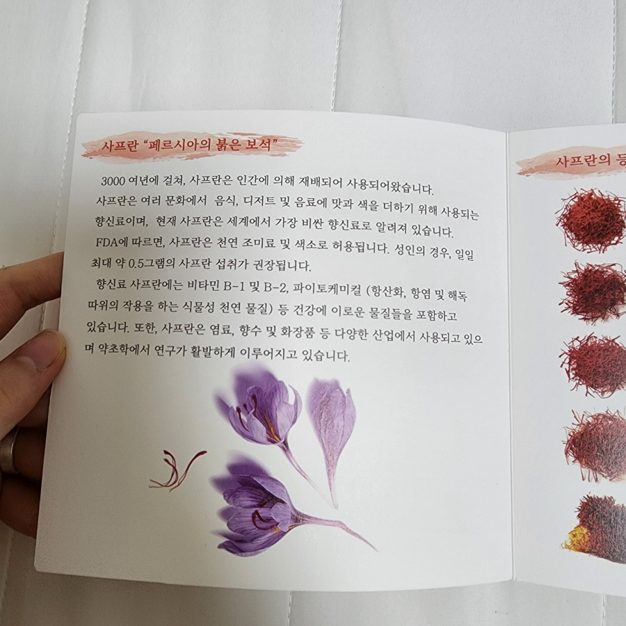 주식회사 서피란 이미지