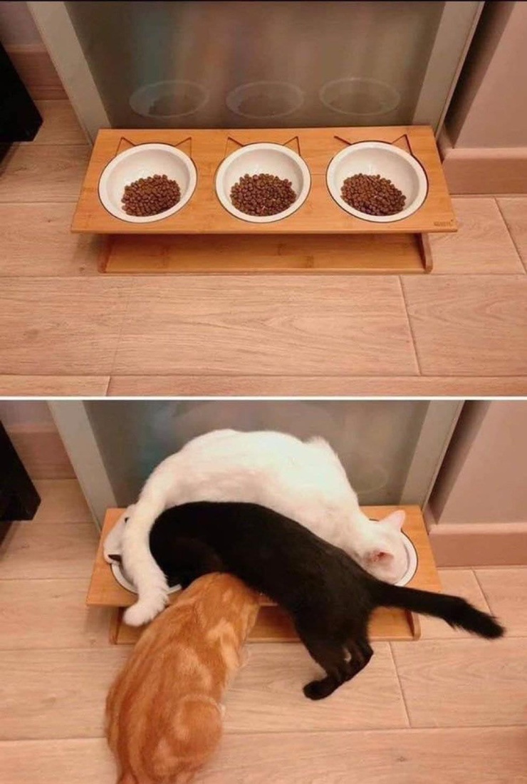 약속까페 이미지