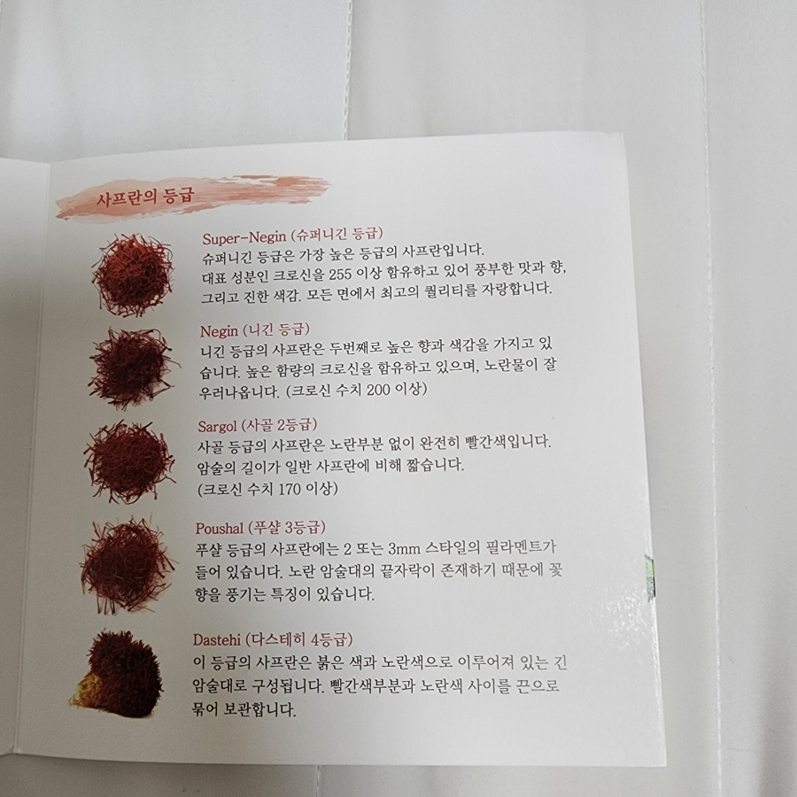 주식회사 서피란 이미지