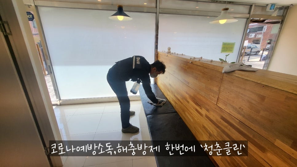 청춘청소방역 이미지