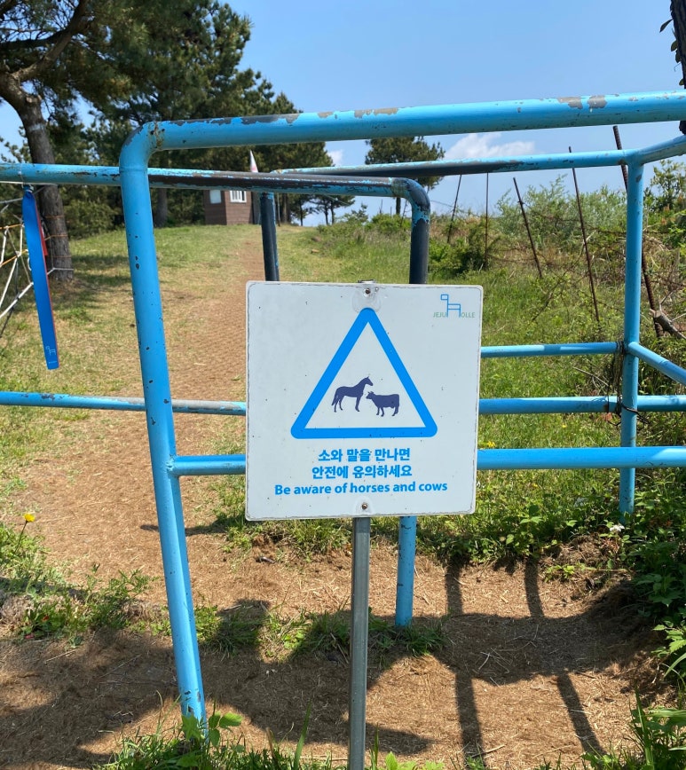 제주동마트 이미지