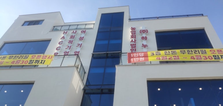 법인하누 이미지