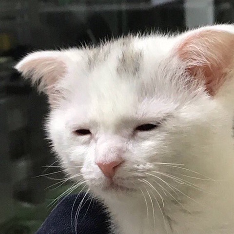 무인카페다올 이미지