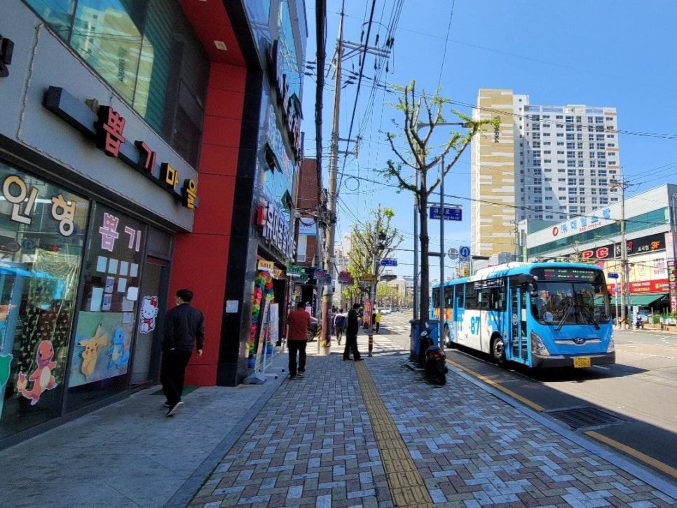 구구족동래 이미지