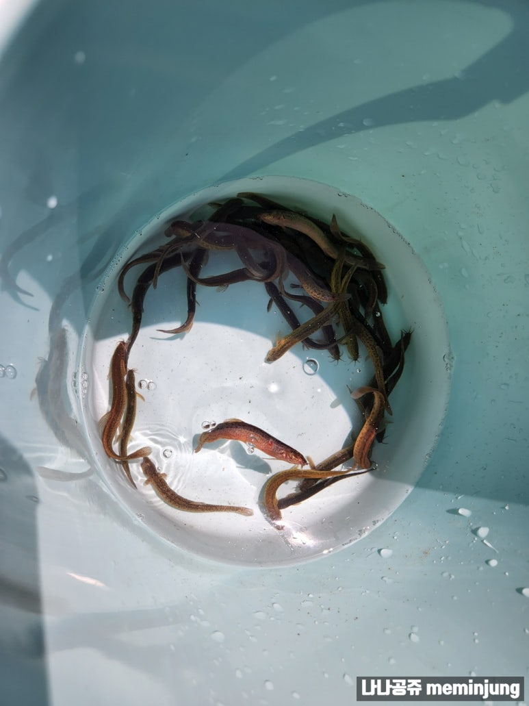 후사랑밀크(환희목장) 이미지