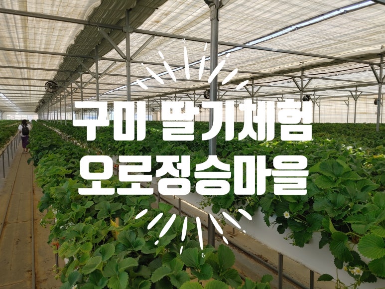 오로정승마을영농조합법인 이미지